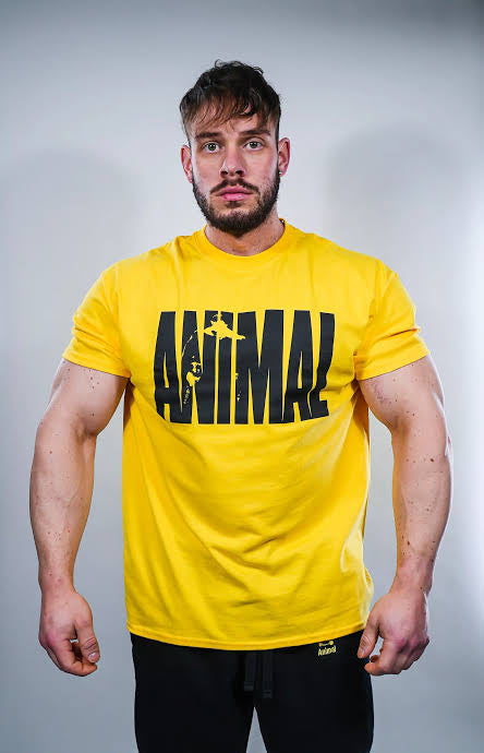 T-Shirt animal promocional