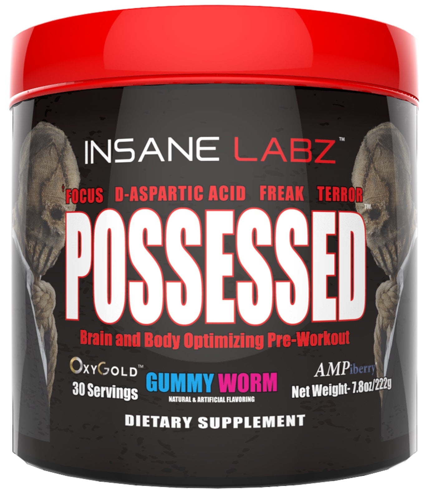 Insane Possesed