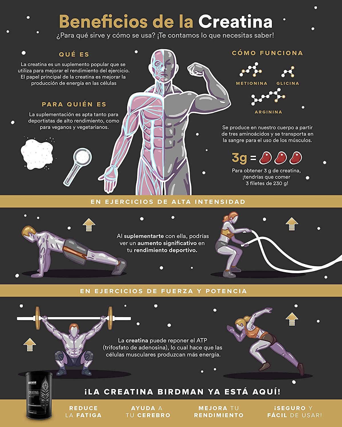 6-pack Creatina Birdman 450 gr